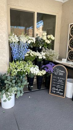 several potted plants are on the front porch