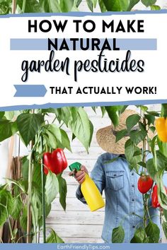 a woman watering plants with the words how to make natural garden pesticides that actually work