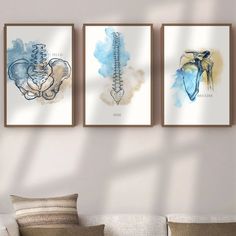 Looking to find affordable wall art that perfectly complements your chiropractic art theme? Look no further! Our collection includes a wide array of options such as anatomy posters, chiropractic posters, biology art, and small chiropractor gifts. Whether you're in need of an anatomy gift or simply seeking inspiration for your chiropractic space, we have the perfect pieces to add a touch of creativity and charm. Browse our selection today and discover the perfect addition to your collection! Chiropractor Art, Chiropractic Decor, Chiropractic Posters, Anatomy Wall Art, Anatomy Posters, Chiropractic Art