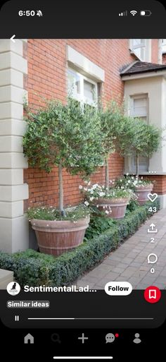 an image of a house with plants in the front yard and trees on the side