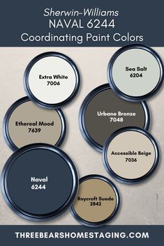 sherylin williams's naval 644 coordinating paint colors