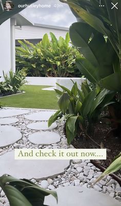 the words and check it out now are displayed in front of a garden with plants