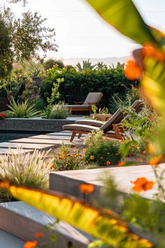 Explore stunning California garden ideas that focus on drought-resistant plants and outdoor design. This pin highlights creative approaches to gardening in dry climates using vibrant and sustainable plants.