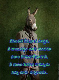 a donkey wearing a suit and tie standing in front of a green background with words on it