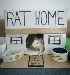 a toy house made out of cardboard with a rat in it and bowls on the floor