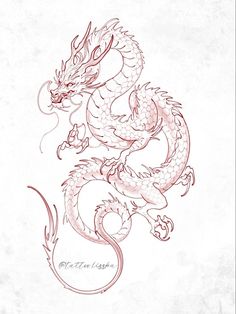 a drawing of a dragon with red ink on white paper, in the shape of a chinese