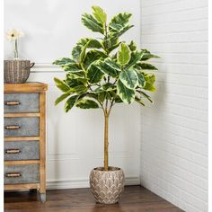 a potted plant sitting on top of a wooden floor next to a white brick wall