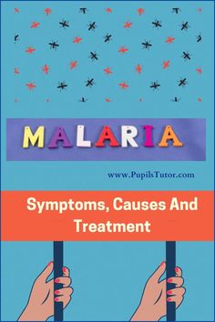 Malaria Symptoms, Causes And Treatment  - Health and Physical Education - Notes And Study Material in English Medium for B.Ed First Year, Second Year, 1st 2nd 3rd 4th 5th 6th Semester Free Download PDF,PPT, Assignment , File - pupilstutor.com Study Exam, Exam Notes, Health And Physical Education, Values Education, Neck Exercises, 2nd Year, Signs And Symptoms, Health Articles