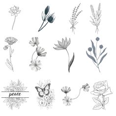 various flowers and plants drawn in black and white