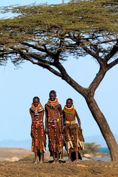 three african men standing next to each other in front of a tree with the ocean in the background