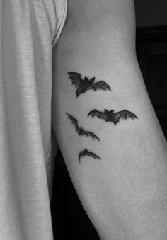 black and white photo of three bats on the left upper half of the right arm