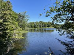 a lake surrounded by lots of trees in the middle of a forest with blue sky