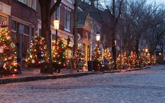 a street with christmas trees and lights on it