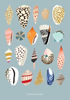 an image of many different types of seashells on a blue background with polka dots