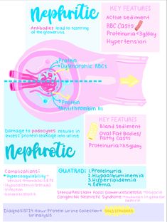 an info sheet with the words nephritic and other things to know about it