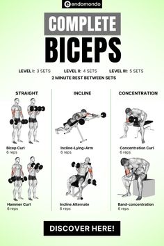 Workout Charts, Exercise Arms, Pull Day Workout, Gym House, Dumbbell Exercise, Track Workouts, Gym Program