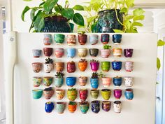 there are many pots on the wall and one is filled with plants in each pot