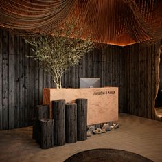 a room with wooden walls and a plant in the center, surrounded by wood stumps