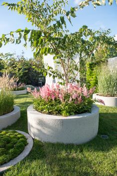 some very pretty plants in big pots on the grass