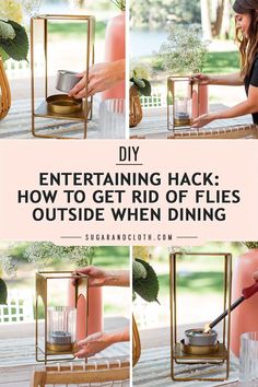 a collage of photos with the words diy entertaining hack how to get rid of flies outside when dining