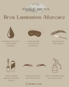 Brow Lamination Information, Brow Model Needed Post, What Is Eyebrow Lamination, Brow Lamination Supplies, Brow Lamination After Care Instructions, Brow Lamination After Care Kit, Brow Lamination And Tint After Care, Brow Lamination Captions, Eyebrow Lamination Aftercare