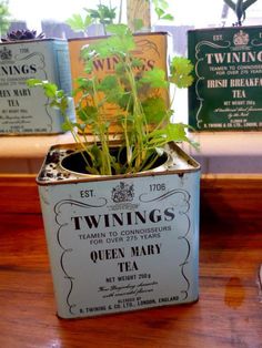 two tins with plants in them sitting on a table next to some tea bags