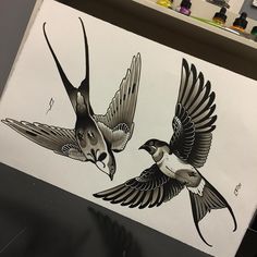 two birds flying next to each other on a white paper with black and grey ink