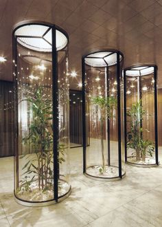 three round glass cases with plants in them on the floor next to each other and lights hanging from the ceiling