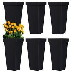 four black flower pots with yellow flowers in them