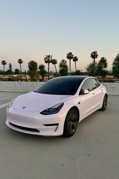 a white tesla model 3 parked in a parking lot with palm trees behind the car