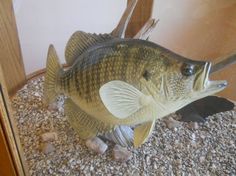 a fake fish is on display in a glass case with gravel and rocks around it