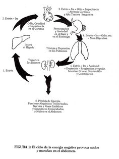 Energia negativa y sus consecuencias en el organismo Chi Nei Tsang, Chi Kung, Taos, Chinese Medicine, Tai Chi, Fitness Beauty, Kung Fu, Ayurveda, Tao