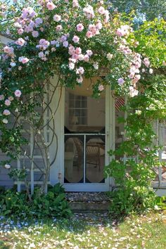 pink roses are growing on the side of a house