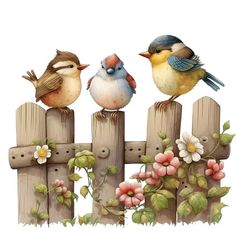 three birds sitting on top of a wooden fence with flowers and leaves around the edges