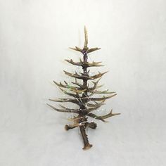 a small christmas tree made out of antlers on a white background with no people around it