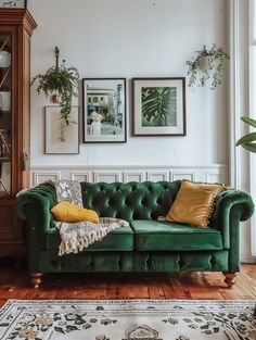 a living room with green velvet couches and pictures on the wall above, along with rugs