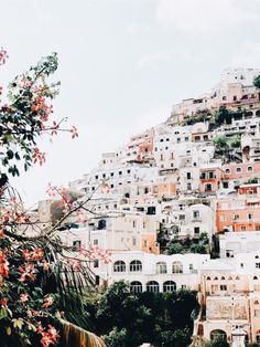 a hillside with lots of houses on it and flowers growing in front of the buildings