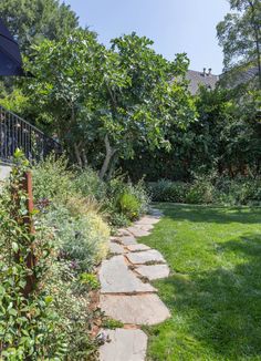 a stone path in the middle of a garden