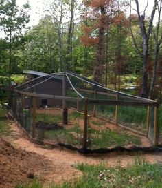 an animal enclosure in the middle of a wooded area with trees and grass around it