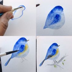 the process of painting a blue bird with watercolors is shown in three different stages