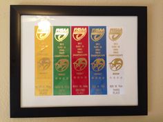 a group of five framed ribbons hanging on a wall