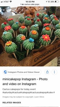 a bunch of cactus cakes sitting on top of a table