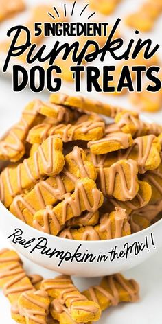 a bowl filled with pumpkin dog treats on top of a table