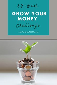 a glass bowl filled with coins and a plant growing out of it, text reads 52 - week grow your money challenge