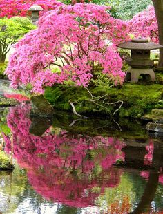 a small pond surrounded by trees with pink flowers in the water and a stone lantern on top