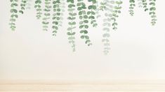 green leaves are hanging from the ceiling in front of a white wall and wooden floor