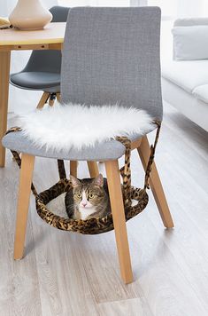 a cat sitting in a leopard print hammock on the floor next to a table