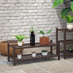 three potted plants sit on wooden shelves in front of a white brick wall and floor