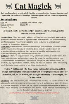 Witchy Tips, Easy Spells, Magia Das Ervas, Animal Spirit Guides