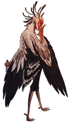 a drawing of a bird with long, black feathers and orange beaks on it's head